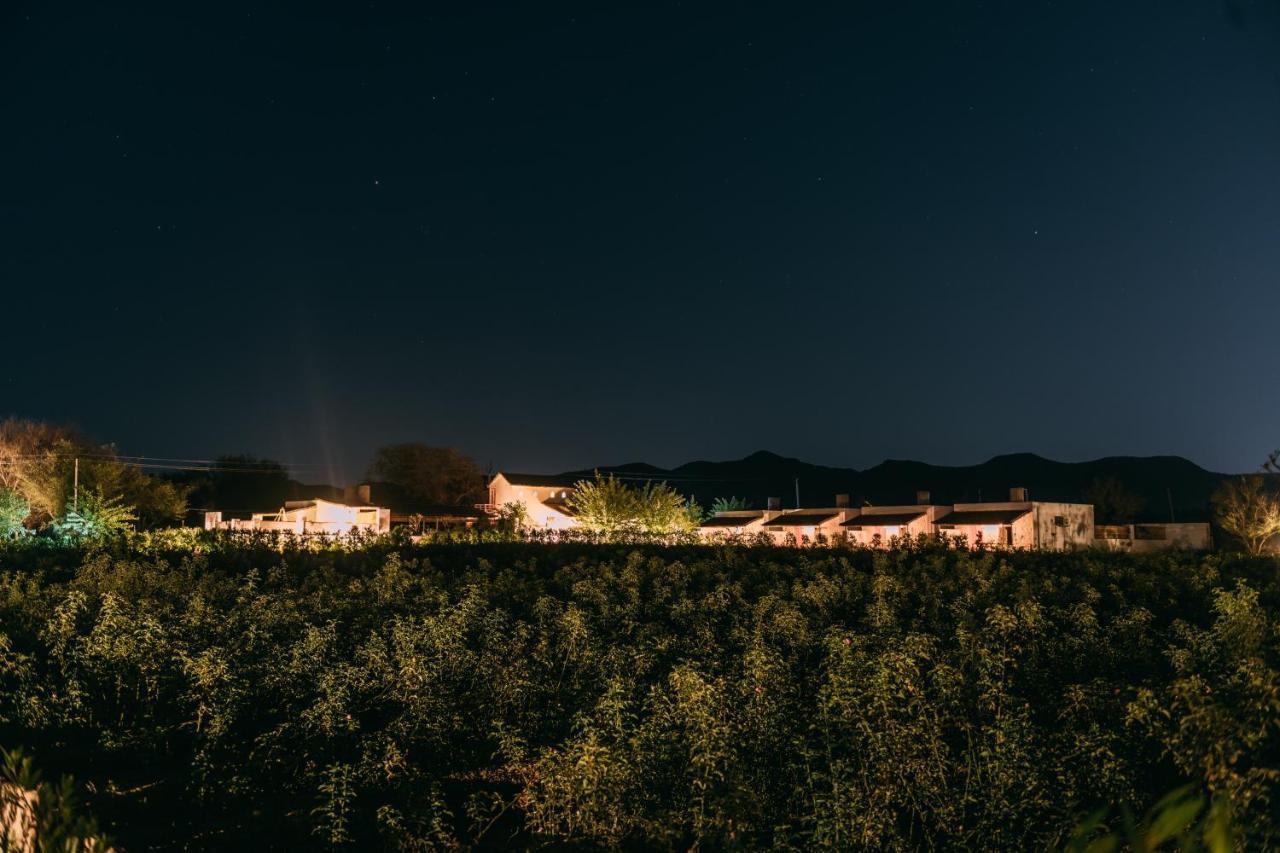 The Luxe Pushkar - A Luxury Farmstay In Pushkar Exterior foto